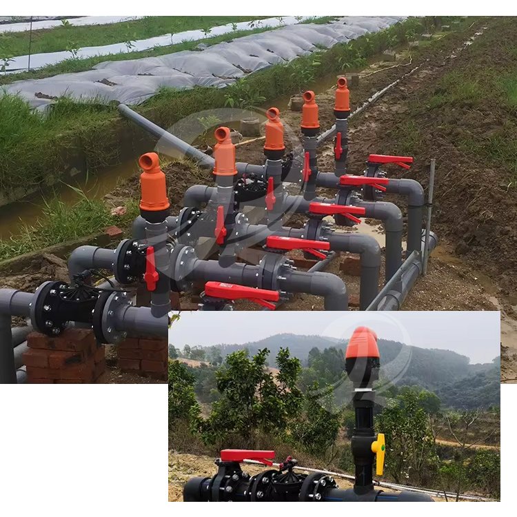 2 Inch Water Filter Irrigation Two Function Combined Air Relief Valve for Agriculture Farm Irrigation