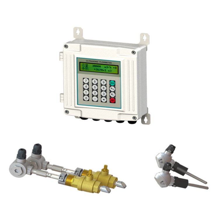 Ultrasonic Flow Meter TUF-2000SW Wall Mount Ultrasonic Flowmeter Sensor