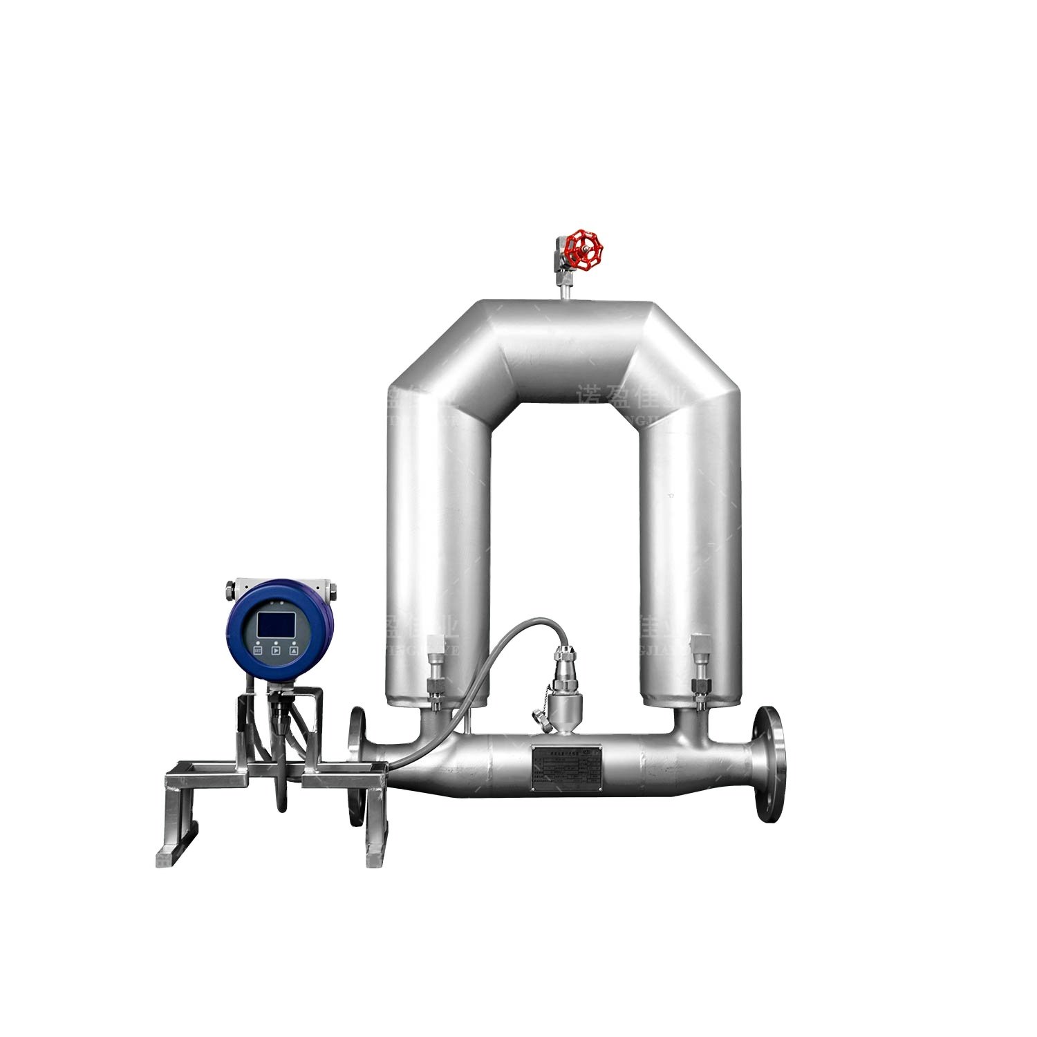 Hydrogen LPG Explosion Proof Slurry Liquide Coriolis Mass Flow Meter Coriolis Gas Mass Flowmeter