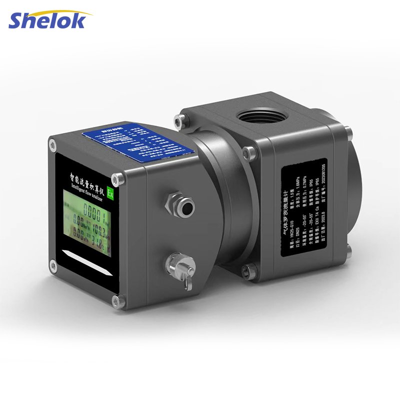 Shelok OEM Digital Lpg Gas Flow Meter I2c Rs485 Roots Flowmeter Compressed Natural Chemical Industry Mass Air Flow Sensor IP67