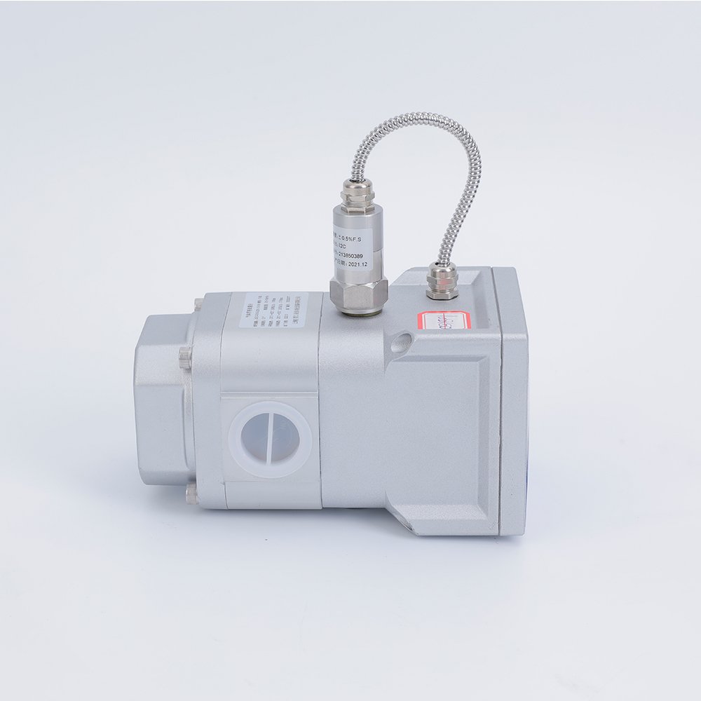 JIANT Intelligent Gas Roots Flow Meter Waist Wheel Flowmeter for Butane Gas