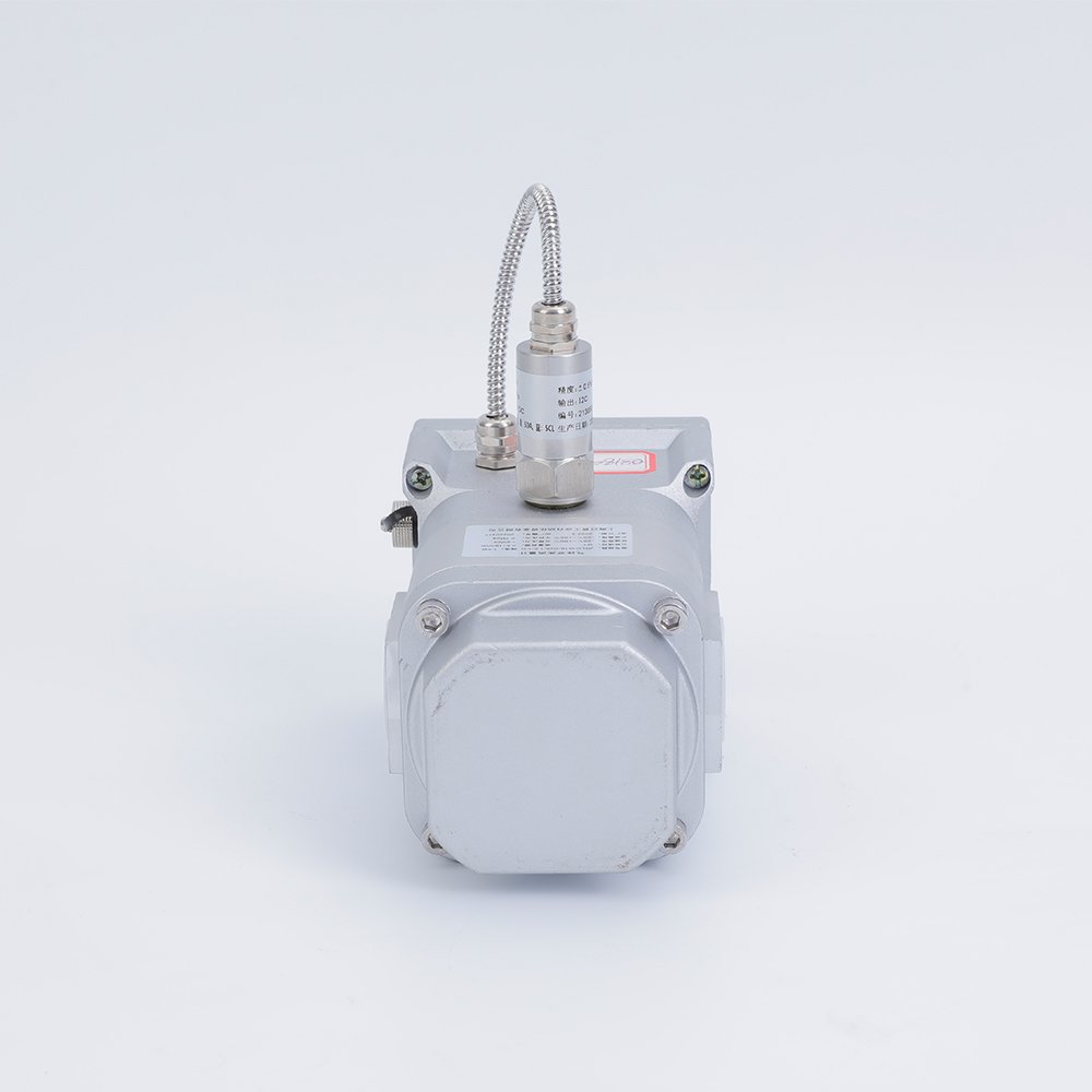 JIANT Intelligent Gas Roots Flow Meter Waist Wheel Flowmeter for Butane Gas
