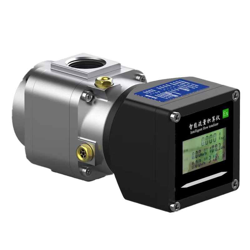 Shanghai JIANT Intelligent Digital Hight Precision Natural Gas Flow Meters LPG Roots Flowmeter