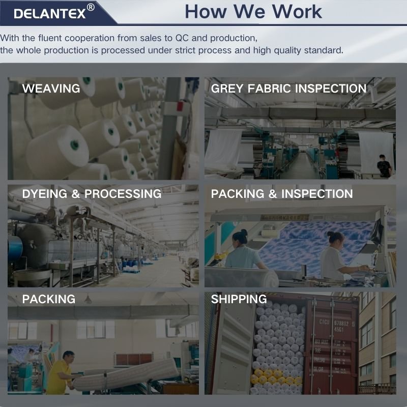 Delantex Air Flow High Quality 100%polyester CEY Fabric for Dress Clothes