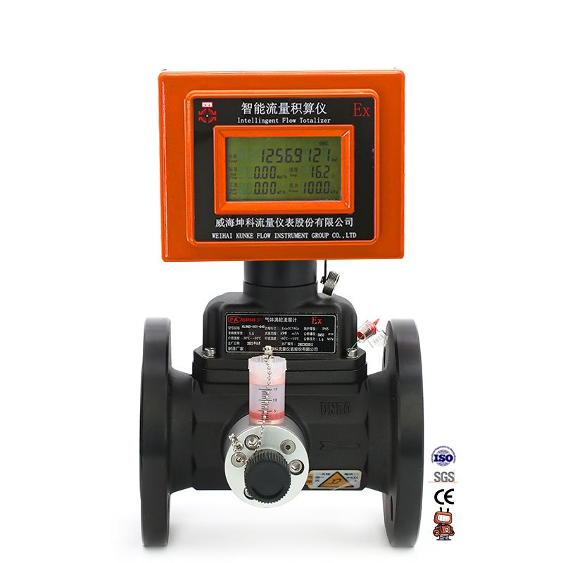 4 20 MA RS485 Digital Flow Meter Stainless Steel Construction Measures LPG Butane N2 Gas Liquid Water Oil OEM Supported LCD Air