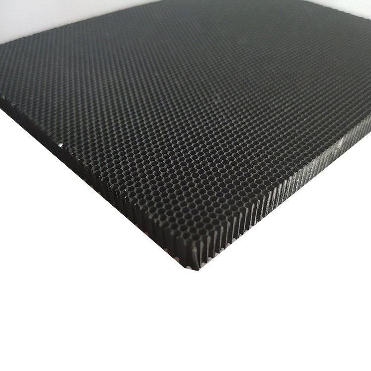 OEM Anti Bacteria Polluted Gas Resistance Kill Fungi Virus Photocatalyst Air Filter Manufacturer