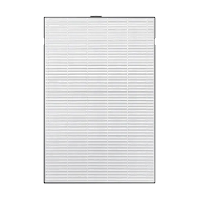 OEM 2-In-1 HEPA Carbon Air Filter CFXD100D for Samsung Air Purifiers AX60N5580WDD AX60A5510WFD AX60M5550WFD AX60R5080WD