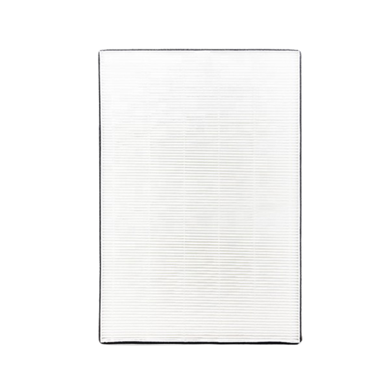OEM 2-In-1 HEPA Carbon Air Filter CFXD100D for Samsung Air Purifiers AX60N5580WDD AX60A5510WFD AX60M5550WFD AX60R5080WD