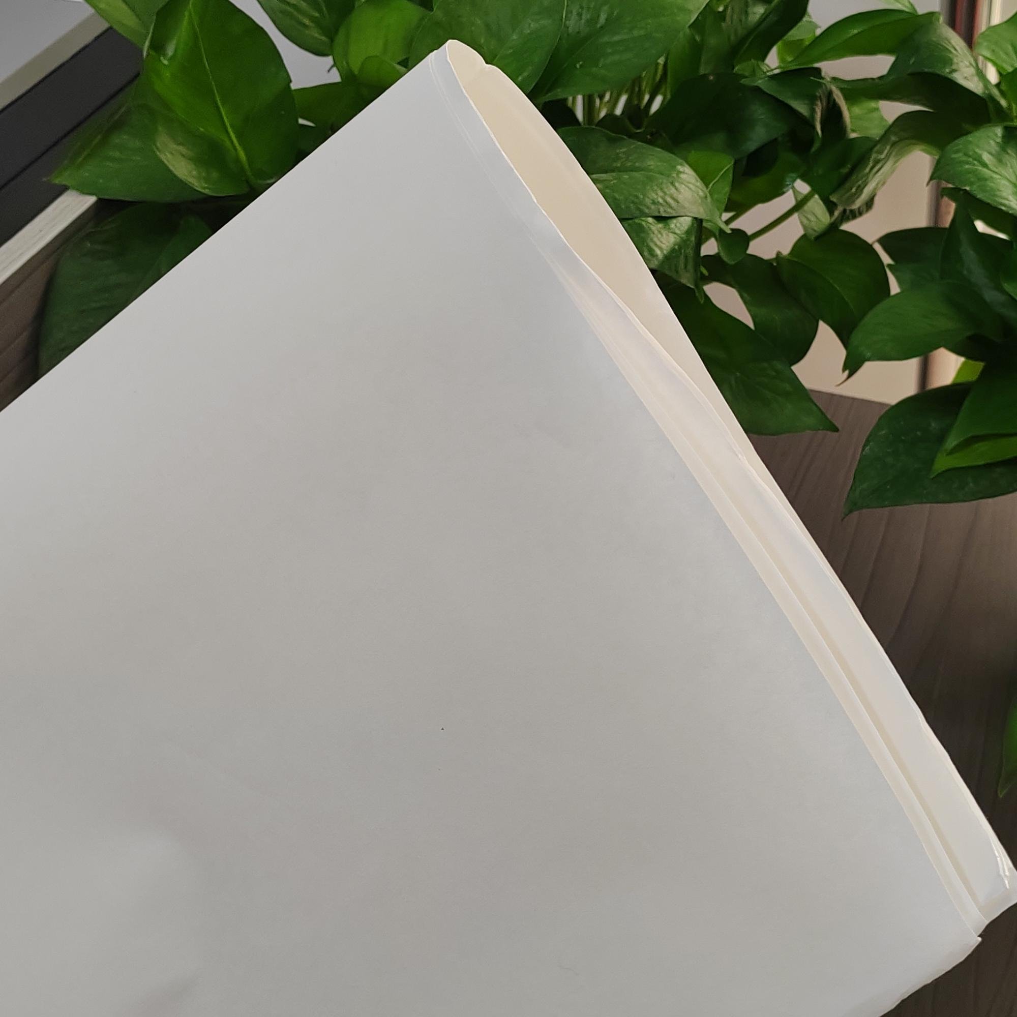 New Industrial Filter Paper for Oil Engine Pump Essential for Air Filter in Lab Pulp Core Components