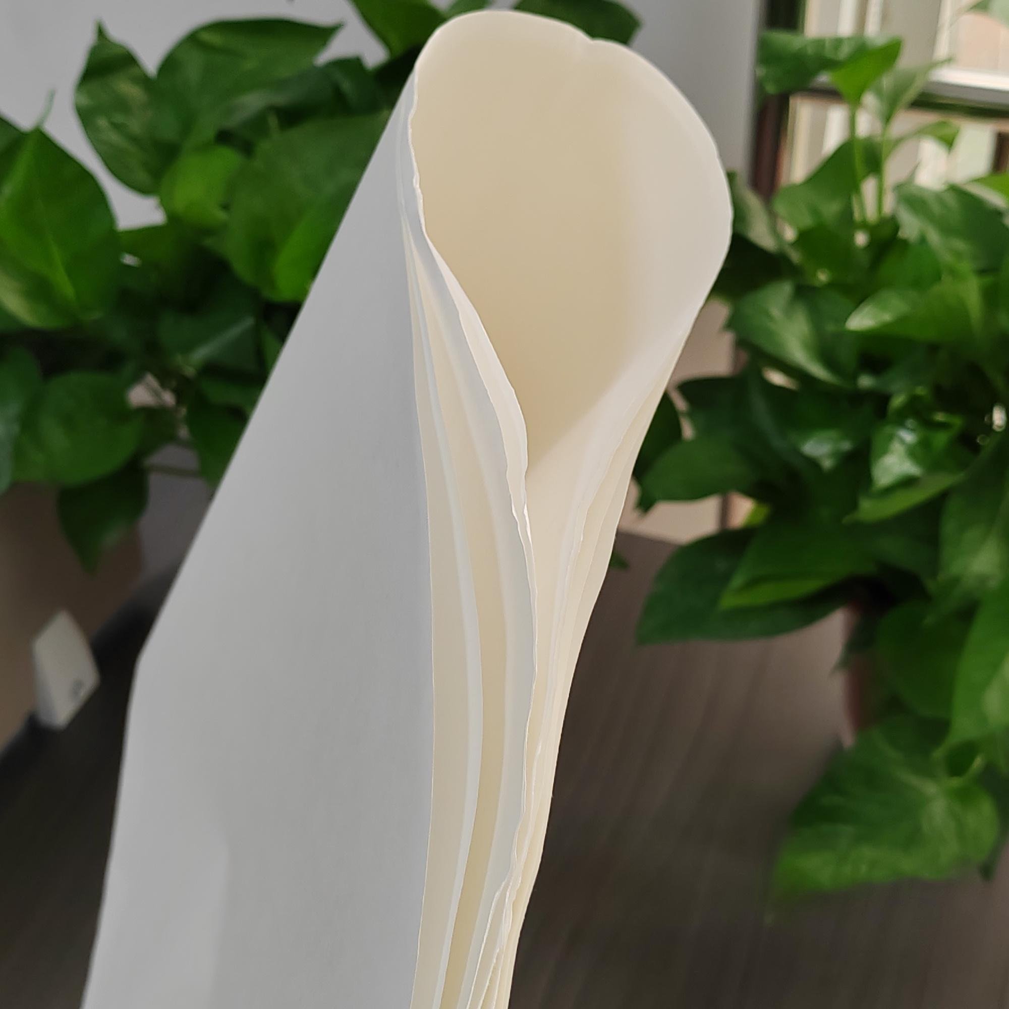 New Industrial Filter Paper for Oil Engine Pump Essential for Air Filter in Lab Pulp Core Components