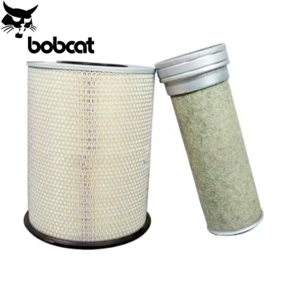 Air Filter P782857 21834199/8149064 Af25631 for Volvo 1676531 21834199 C311345 E496L AF25631 LX1587 Factory High Quality