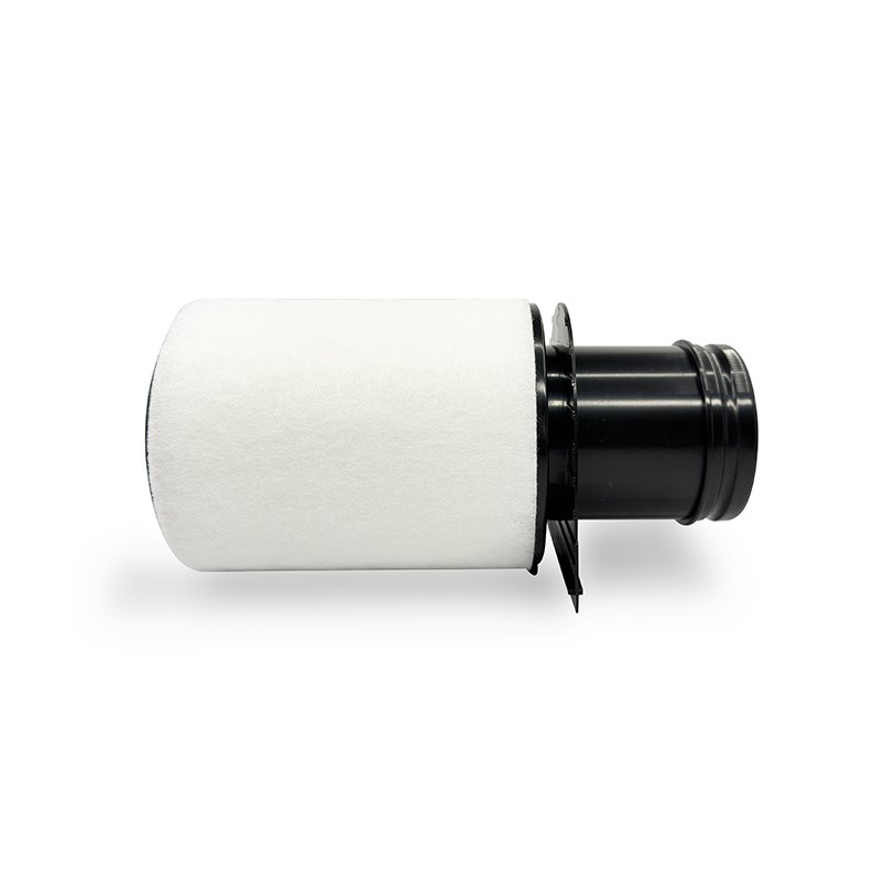 2024 China Experienced and High Quality Manufacturer Low Price Direct Sale Cost-effective Air Filter 420133844E Auto Parts