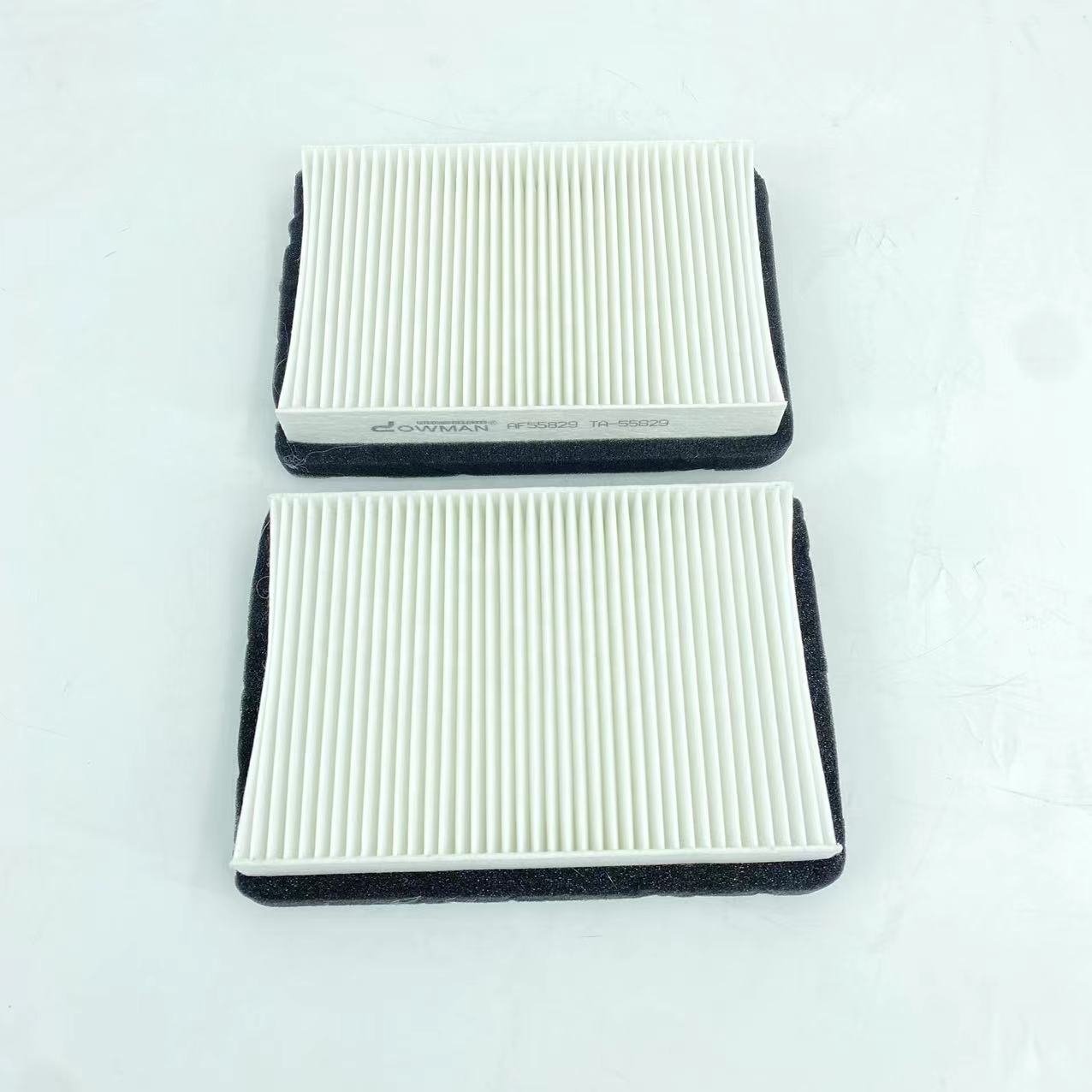 Cabin Air Filter for FLEETGUARD AF55829