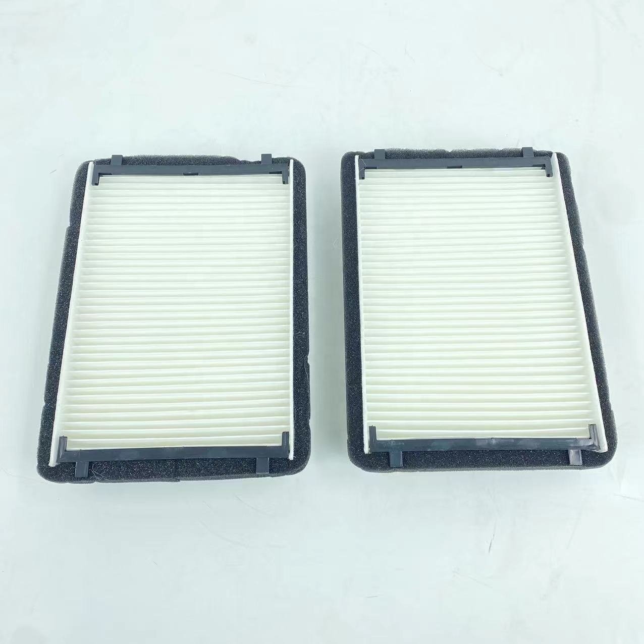Cabin Air Filter for FLEETGUARD AF55829