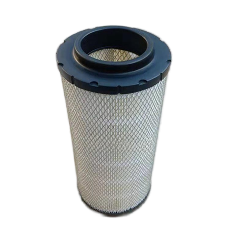 Hot Sale Factory Supply Air Filter RS5641 Air Filter Element