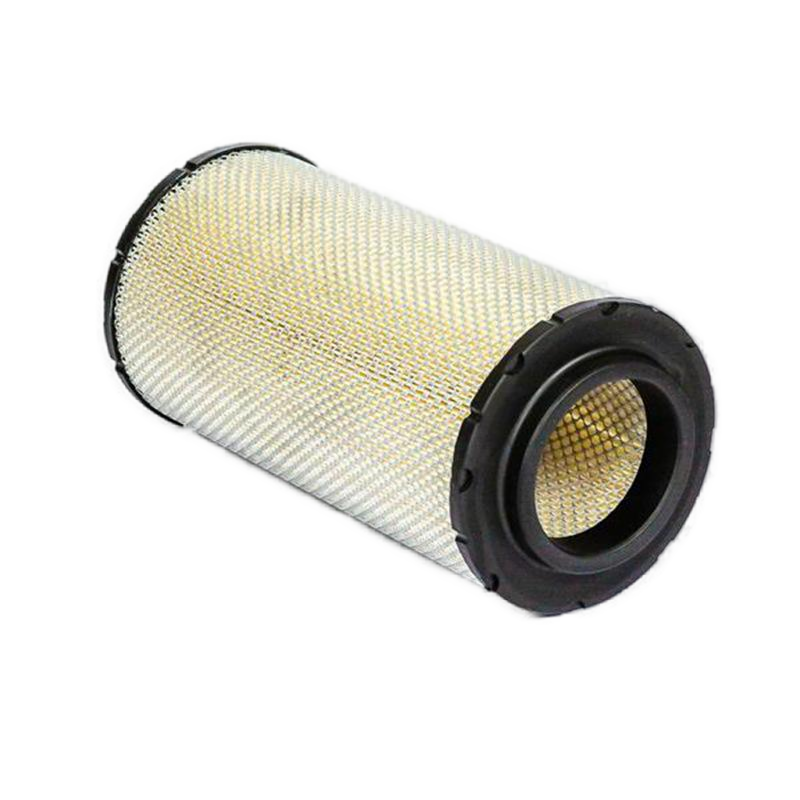 Hot Sale Factory Supply Air Filter RS5641 Air Filter Element