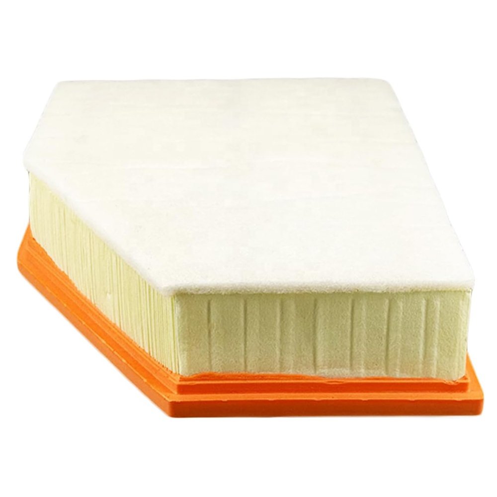 13718581691 Hebei Qinghe Factory Genuine air Filter Use for BMW 750Ld E2130L SB2434