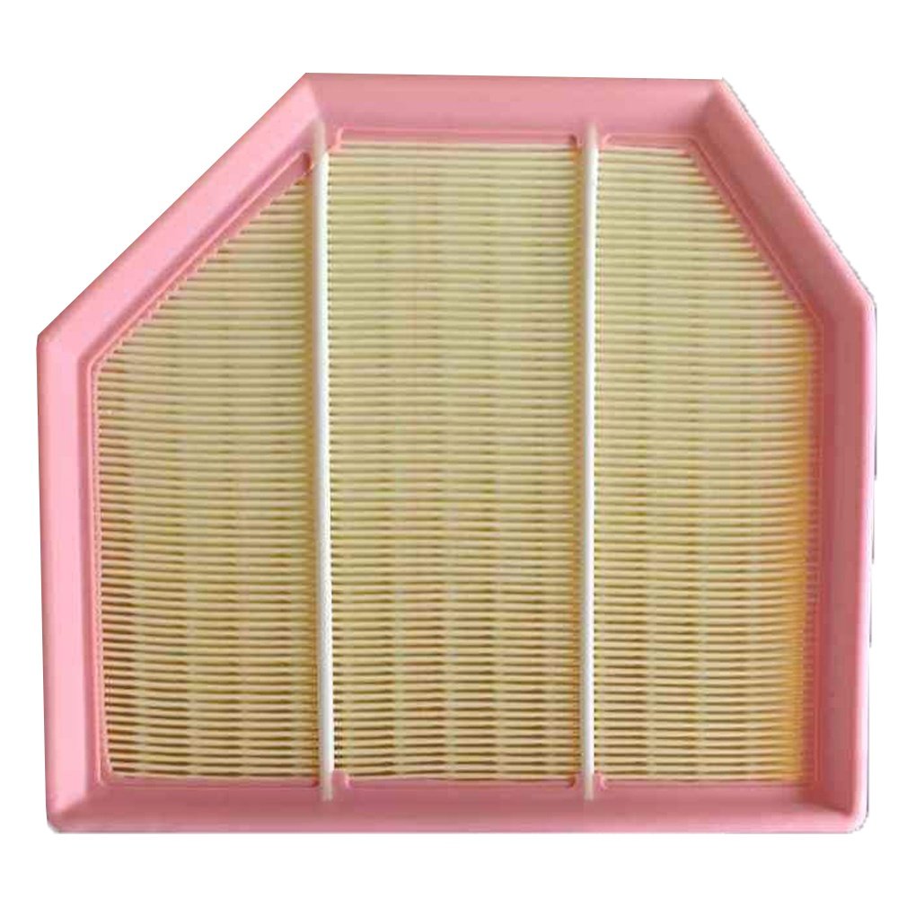 13727843284 Hebei Qinghe Factory Genuine air Filter Use for BMW 13717843284 7843284 AP025/2 CA12586 C24242 LX2074