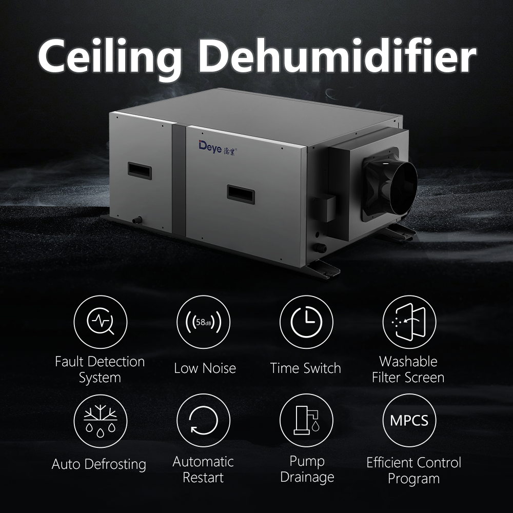 Hot Sale DY-C50DZ 100pints Commerical Portable air Purifier Greenhouse Dehumidifier With air Filter