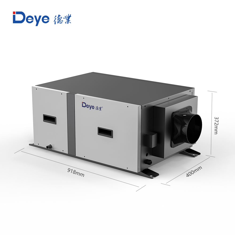 Hot Sale DY-C50DZ 100pints Commerical Portable air Purifier Greenhouse Dehumidifier With air Filter