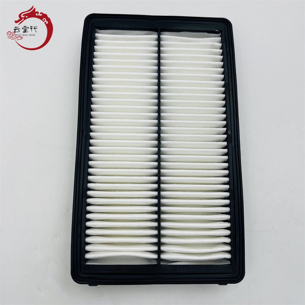 High Quality Wholesale Auto Environmentally Friendly Air Filter 28113-A9200 28113A9200 28113 A9200