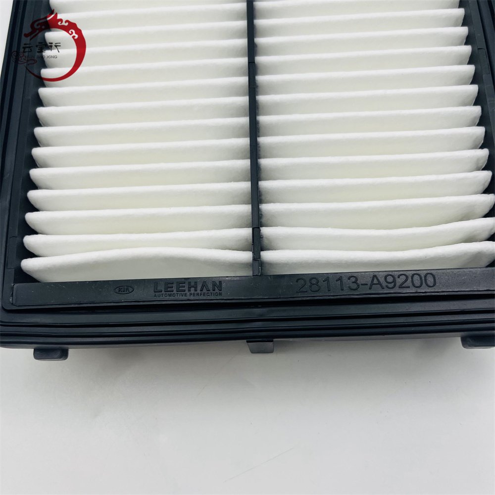 High Quality Wholesale Auto Environmentally Friendly Air Filter 28113-A9200 28113A9200 28113 A9200