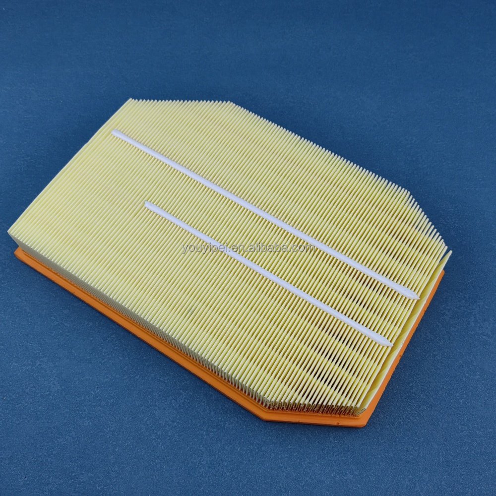 13717590597 13717800151 Air Filtration Cartridge Air Filter for BMW Auto Parts 5 Series F07 F10 F11 7 Series F01 F02 F03 F04