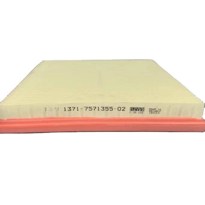 High Quality Automotive air Filter OEM 13717571355