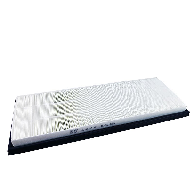 CC-G703-2P Cabin Air Filter HEPA Air Intake Filter Fits for Model Y 110768100A 165837500A 165837600A CU47025-2