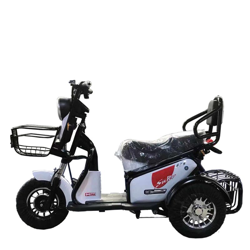 Electric Vehicle 3 Wheel Electric Scooter Passenger Tricycle