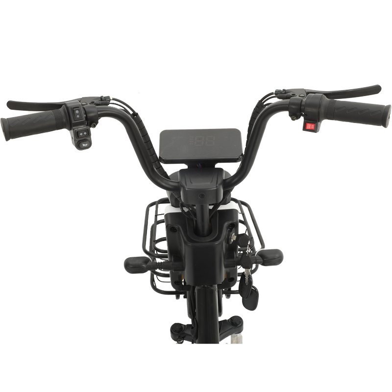 Factory Direct Sales E Bike Made in China Electric Bike Adult 12ah 48V 350W Electric Bicycle