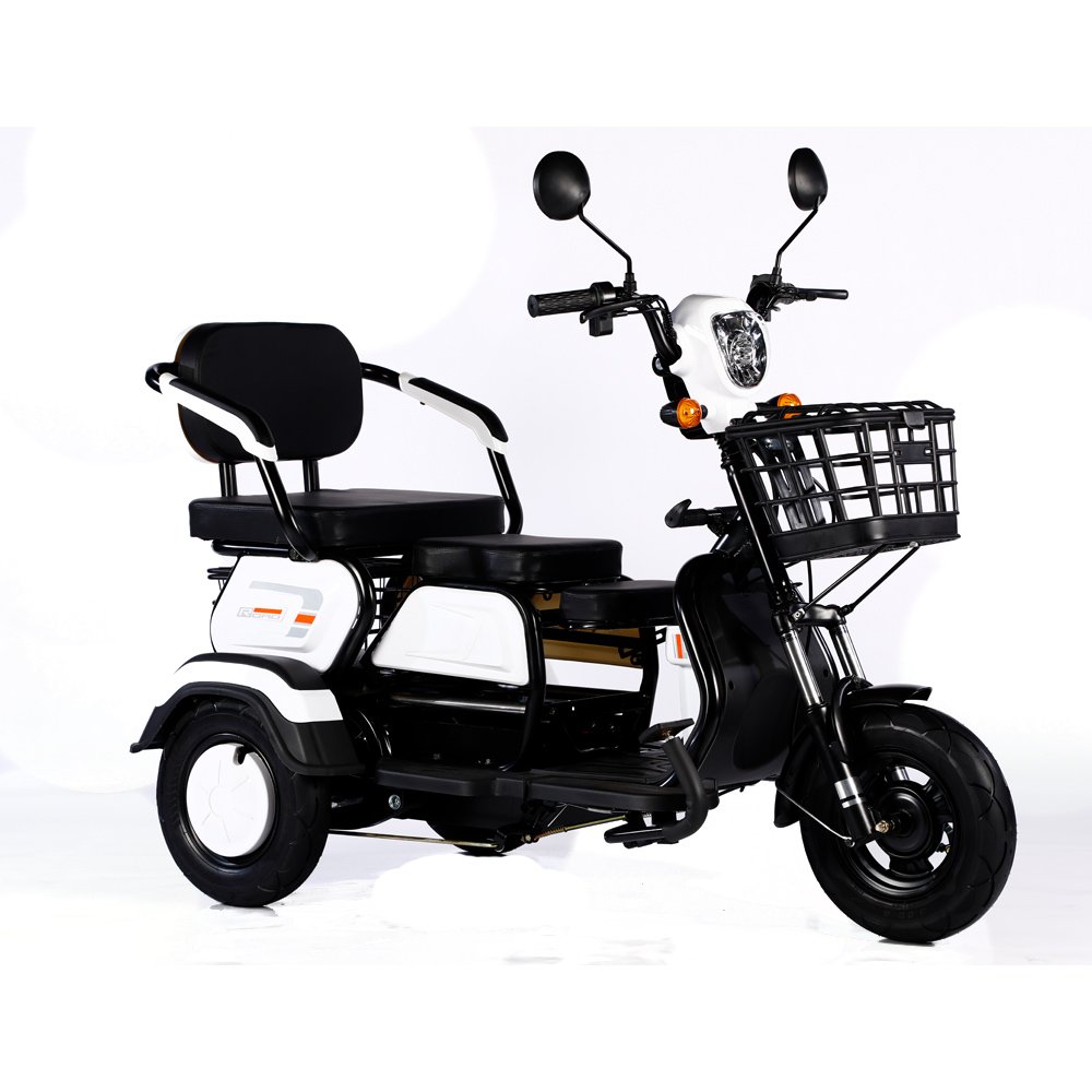 2023 Hot Sale 600W 48V 3 Wheel Electric Bicycle Adult Electric Tricycle Cargo Ebike Without Basket