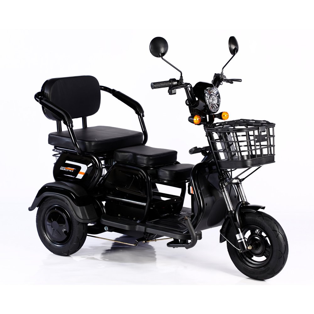 2023 Hot Sale 600W 48V 3 Wheel Electric Bicycle Adult Electric Tricycle Cargo Ebike Without Basket
