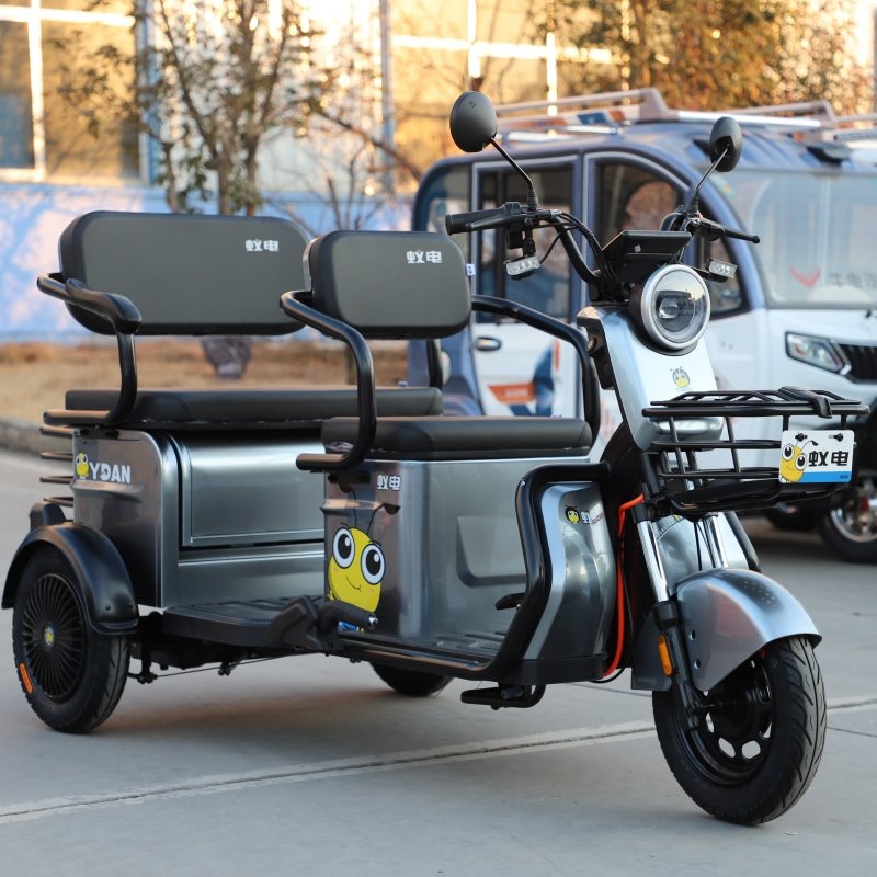 hot sales 60V 20AH battery handicap scooter bike trailer tricicle electric with 2 seats
