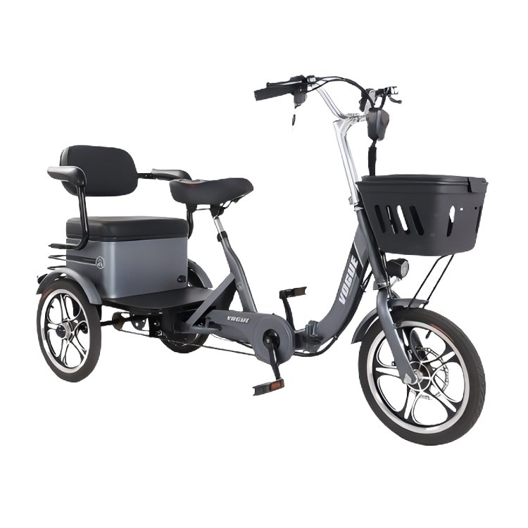 16 Inch 400w Two Seat Passenger Foldable Carbon Frame Three Wheel Motorcycle