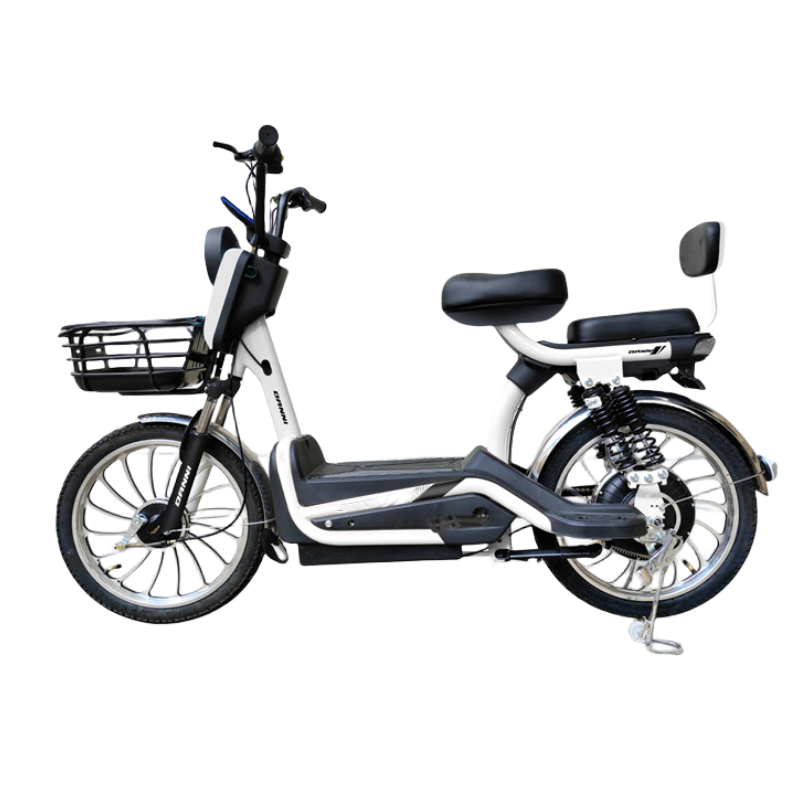 City Carbon Steel Electric Bicycle With 20" Tire 350W or 500W Rear Hub Motor Single Speed Gears for 35-60 Kilometers Ride