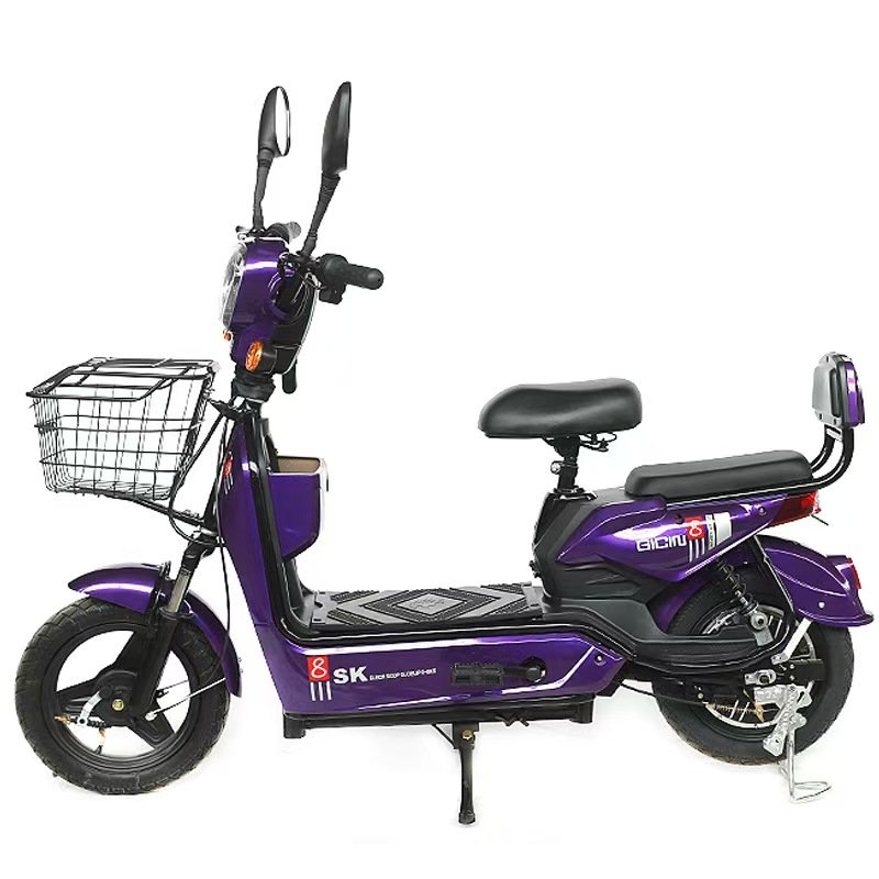 Electric Leisure Bicycle with Carbon Steel Frame & 48v 350W Motor Power Drum Brake Sturdy & Convenient 60km Range City Cylinder