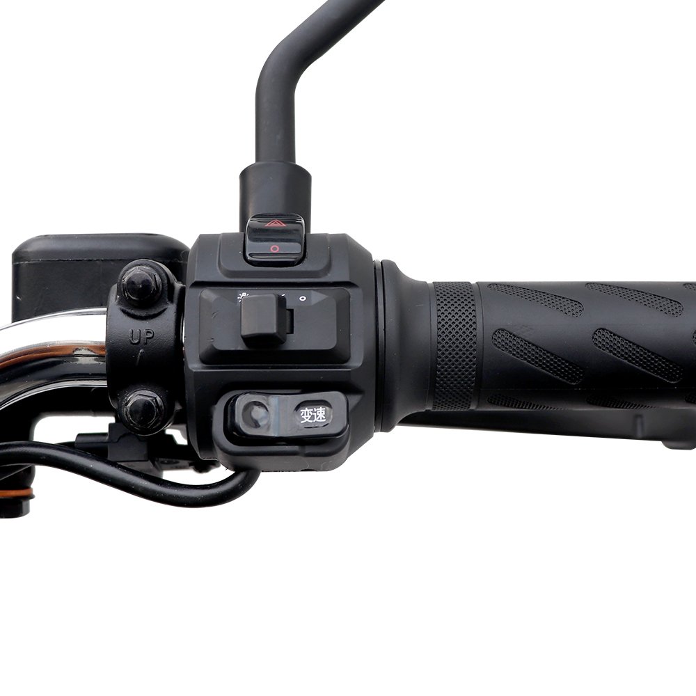 Custom Label Urban Mobility Front Disc Brakes, Rear Drum Brakes Electric Bikes That Look Like Motorcycles