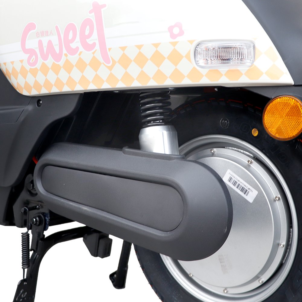 Custom Label Urban Mobility Front Disc Brakes, Rear Drum Brakes Electric Bikes That Look Like Motorcycles
