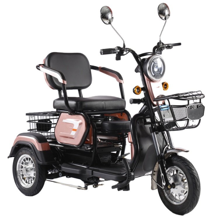 Electric Scooter Three Wheel China 48V 20AH Lead Acid Battery 600W Electric Motorcycles 3 Wheels Electric Tricycles for Adults