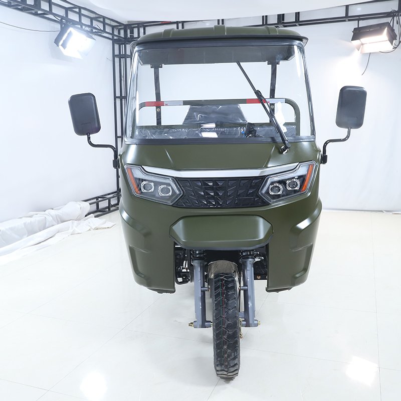 2025 New 3 Wheel Electric Bike Electric Cargo Tricycle Electric Pedicab for Adults