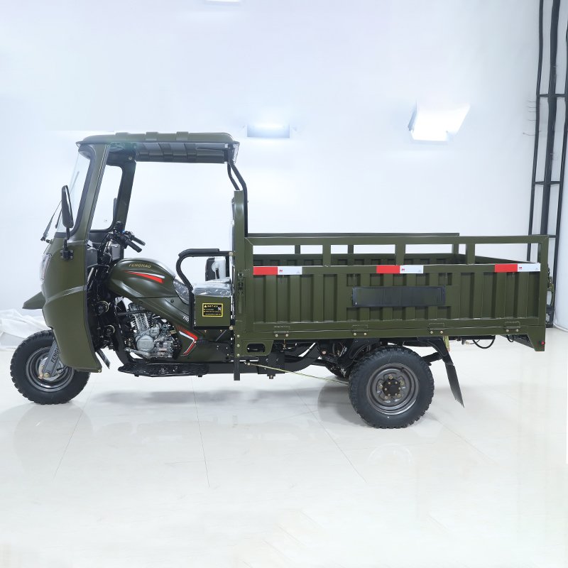 2025 New 3 Wheel Electric Bike Electric Cargo Tricycle Electric Pedicab for Adults