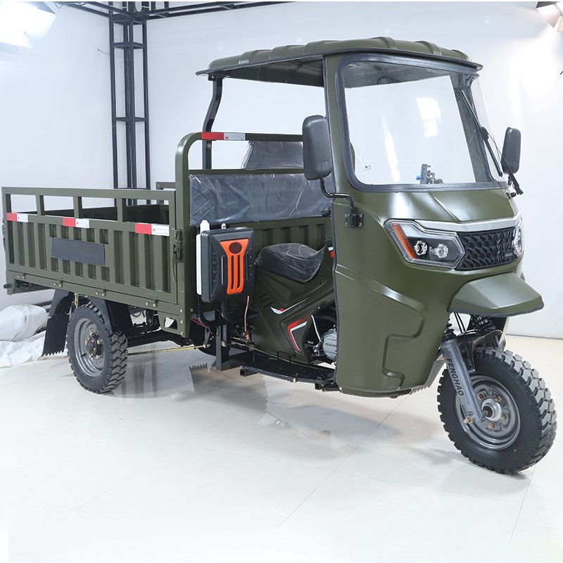 2025 New 3 Wheel Electric Bike Electric Cargo Tricycle Electric Pedicab for Adults