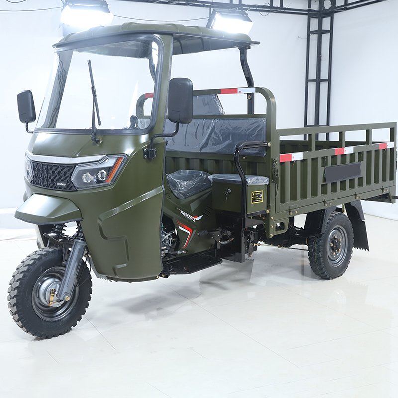2025 New 3 Wheel Electric Bike Electric Cargo Tricycle Electric Pedicab for Adults