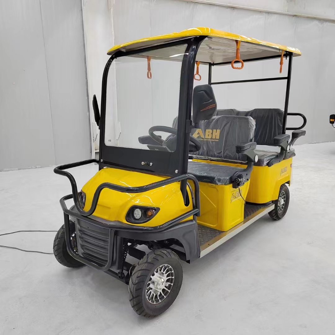 Factory Prices Available for Low-cost, Hot-selling Customizable Products Electric Passenger Tricycle 1000W Electric Tricycles