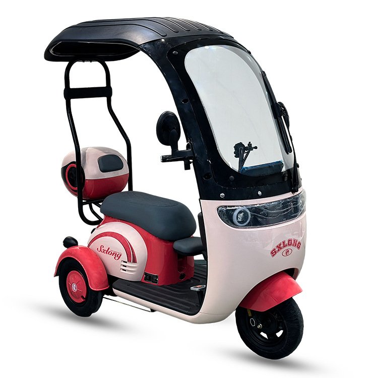 FULIKE New Fashionable 650W Differential Brushless Motor Powerful Electric Passenger Tricycle Three Wheels for Adults