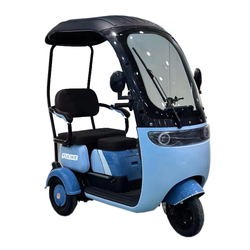 FULIKE New Fashionable 650W Differential Brushless Motor Powerful Electric Passenger Tricycle Three Wheels for Adults