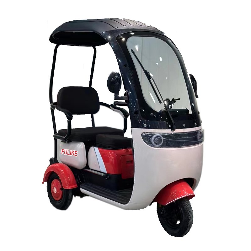 FULIKE New Fashionable 650W Differential Brushless Motor Powerful Electric Passenger Tricycle Three Wheels for Adults