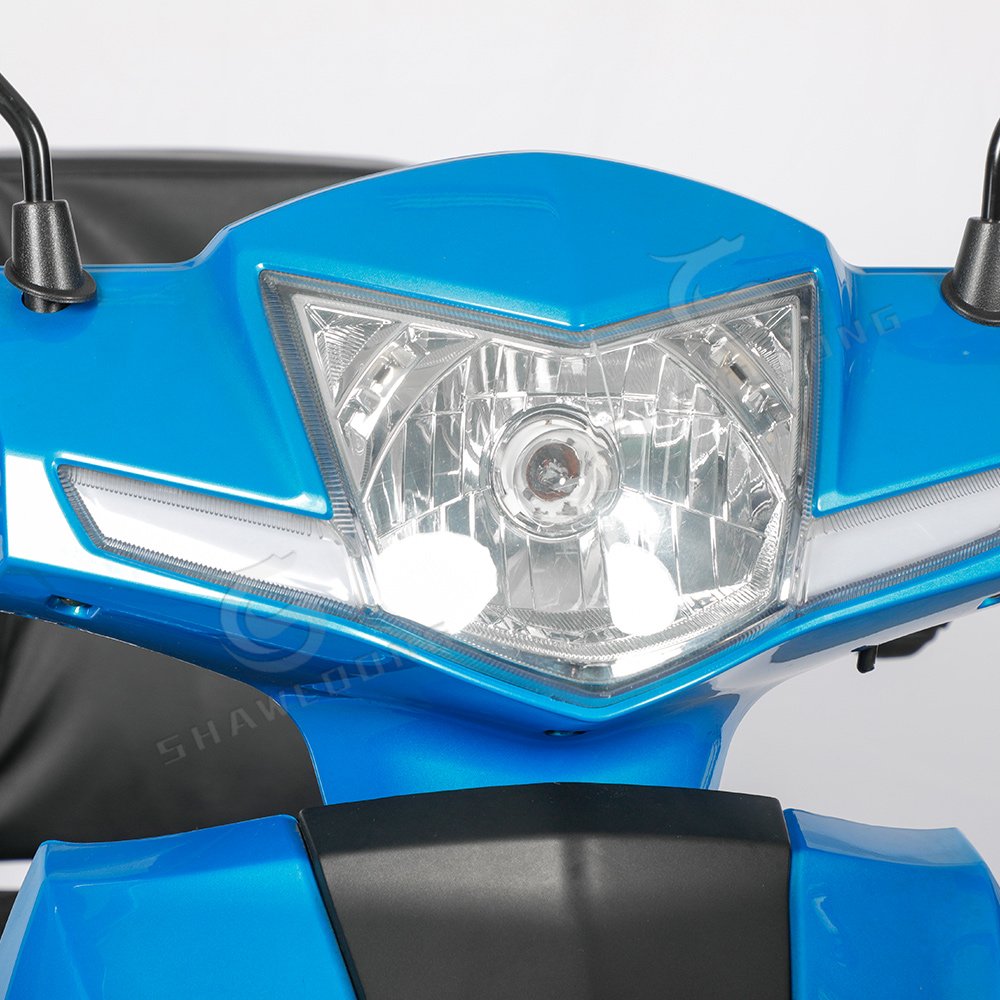 Motor Scooter Electric Trike with Basket LED Electric Tricycles New 48V 500W Arrivals Mobility Scooters 3 Wheels Tricycle