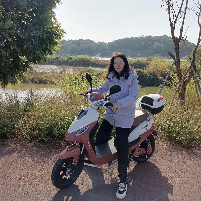 Electric Motorcycle Bike Electric E Dirty Bike Electric Moped Scooter 250w 500w